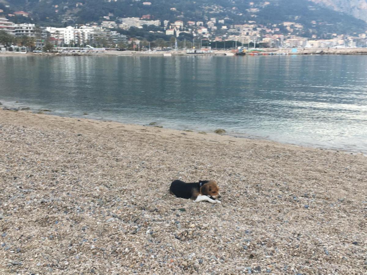Appartement Maroelvi Menton Exteriör bild